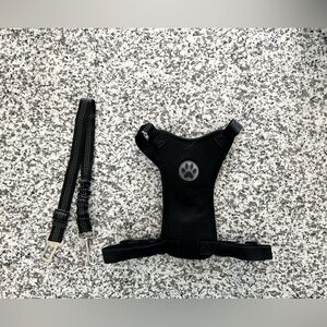 Dog Harness & Seat Belt